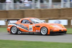 Panoz #10